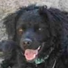 Rufus R Conny